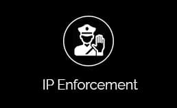 IP Enforcement