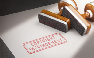 Copyright Infringement Litigation