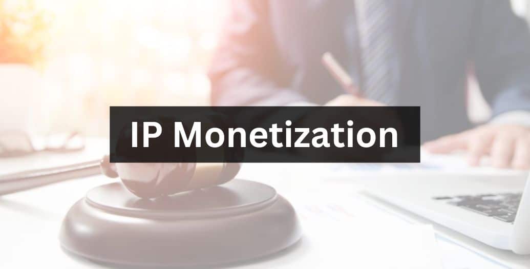 IP Monetization 